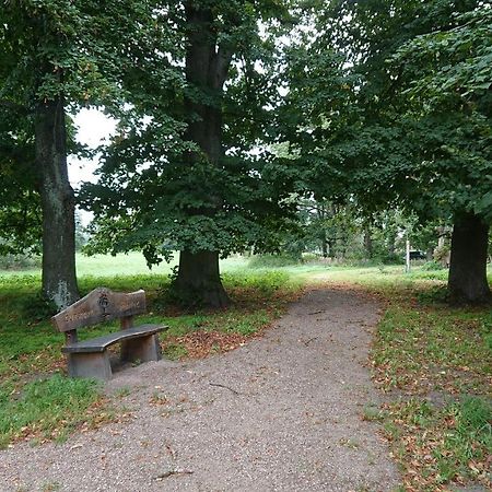 Fewo In Neustadt/Dosse, Der Stadt Der Pferde Leddin Buitenkant foto